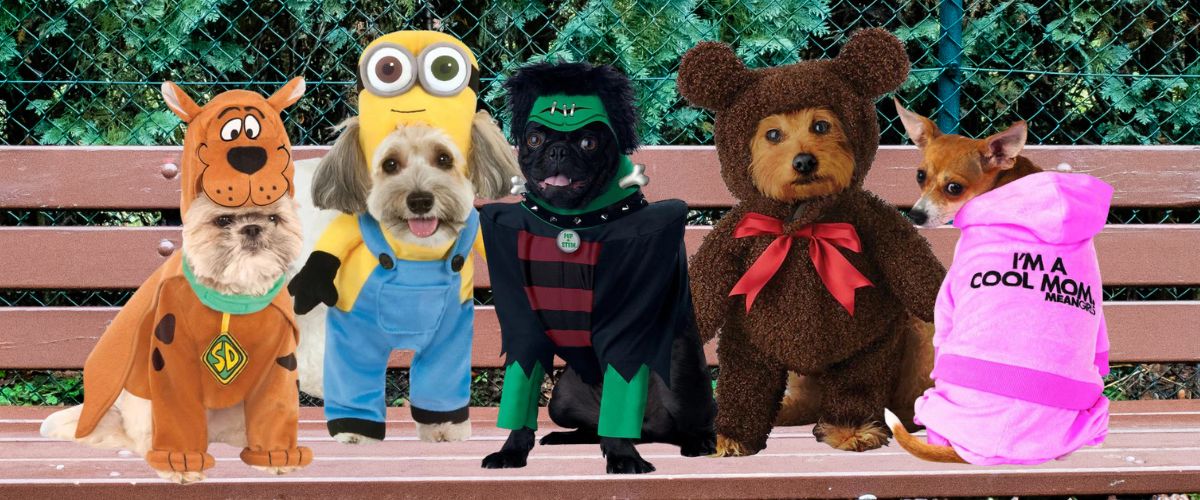 Pawsitively Spooktacular Top Halloween Costumes for Dogs