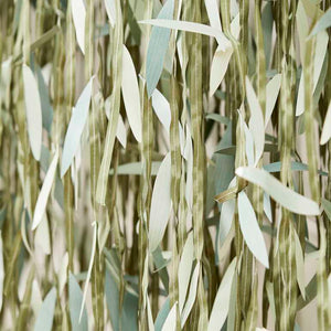 Botanical Baby Leaf Ribbon Backdrop