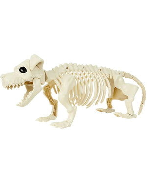 Dachshund Dog Skeleton Prop