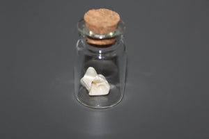 Snake Bone Specimen Vial Prop