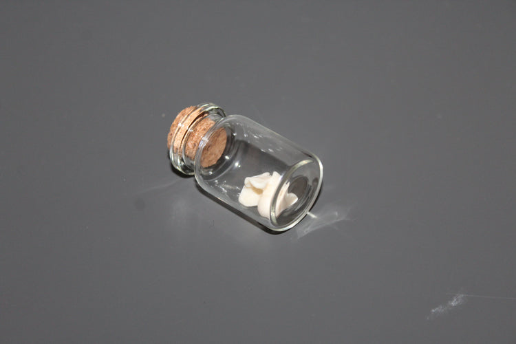 Snake Bone Specimen Vial Prop