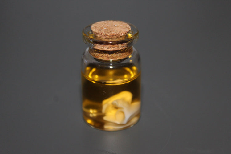 Preserved Snake Bone Vial Prop