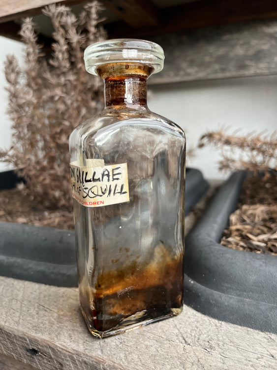 Antique 1890s Acetum Scillae Vinegar of Squill Apothecary Bottle