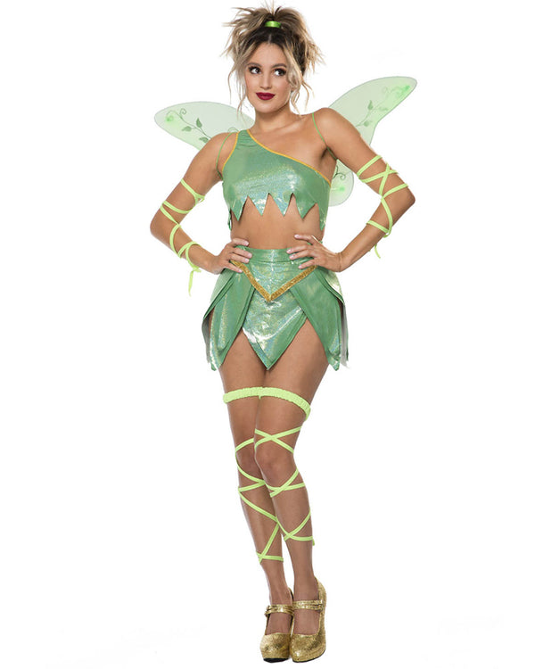 Fantasy Fairy Womens Costume