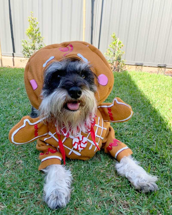 Gingerbread Pup Dog Costume