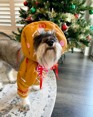 Gingerbread Pup Dog Costume