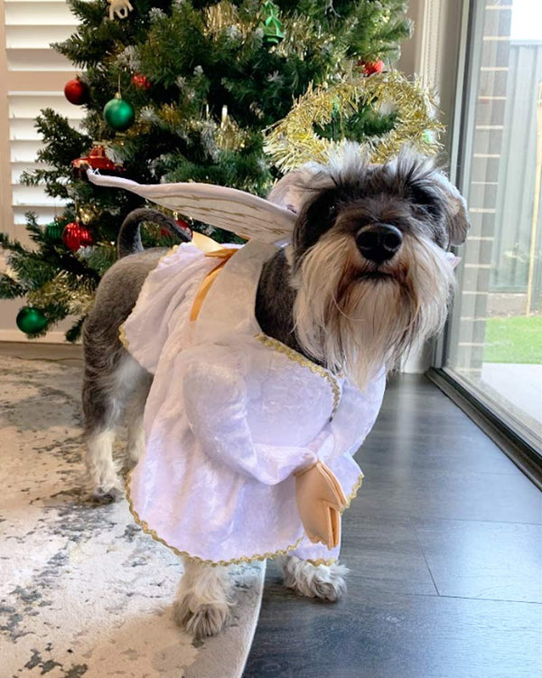 Heavenly Hound Pet Costume