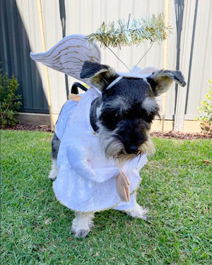 Heavenly Hound Pet Costume