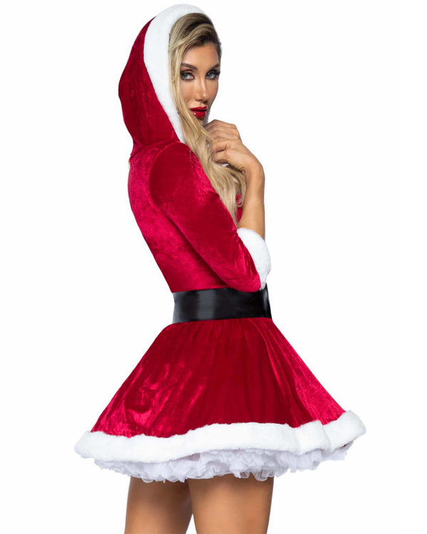 Mrs Claus Womens Christmas Costume