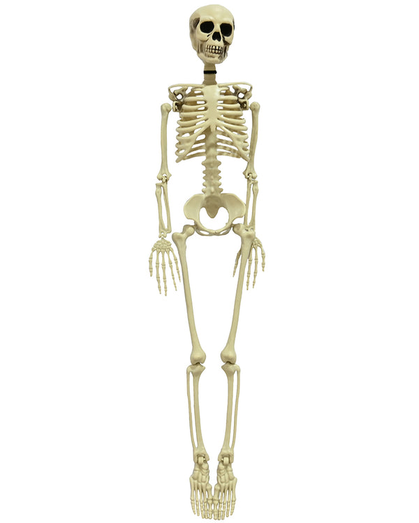 Skeleton 90cm