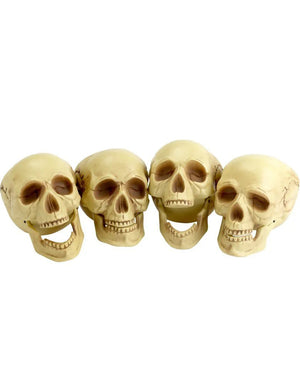 Skull Heads 4 Piece Set