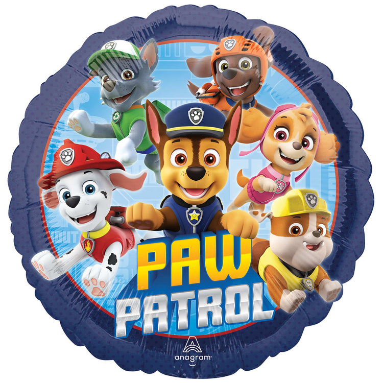 45cm Standard HX Paw Patrol S60