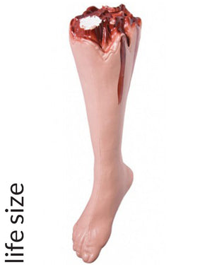 Bloody Severed Leg