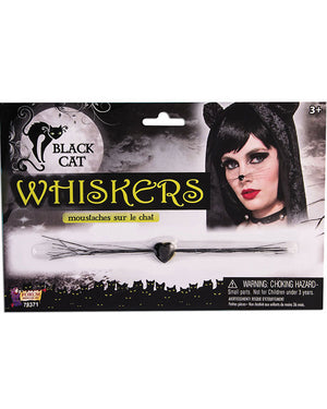 Black Cat Whiskers