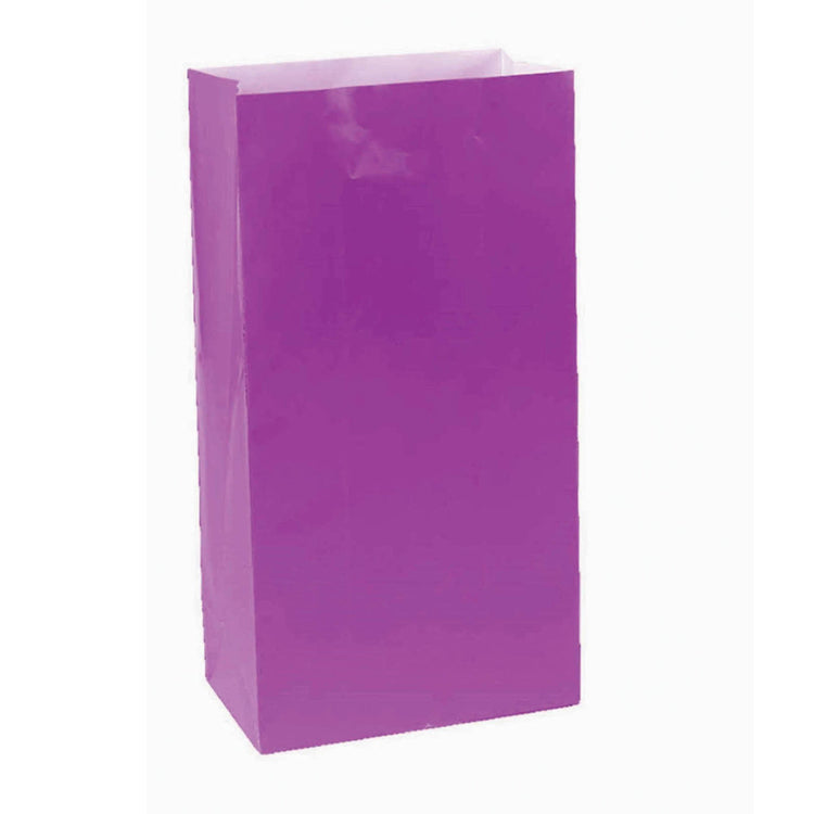 Large Paper Treat Bags New Purple Pack of 12