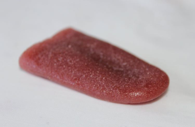 Severed Tongue Prop