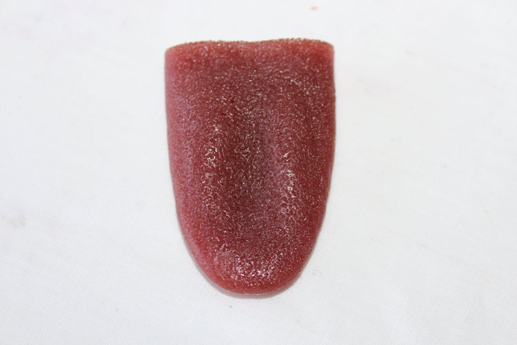 Severed Tongue Prop