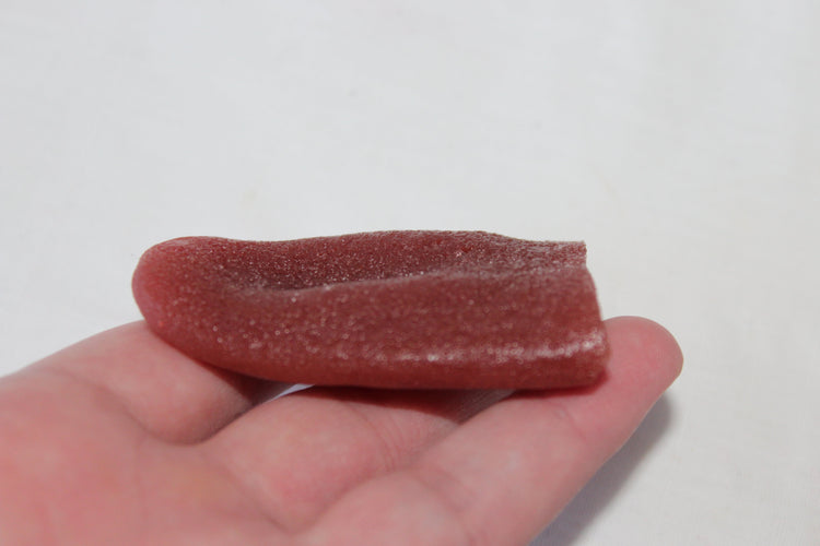 Severed Tongue Prop