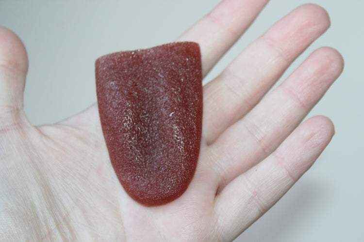 Severed Tongue Prop