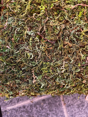 Artificial Moss Bag Prop