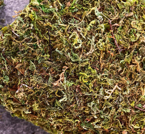 Artificial Moss Bag Prop