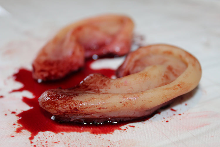 Severed Ear Prop