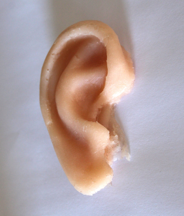 Unpainted Ear Prop