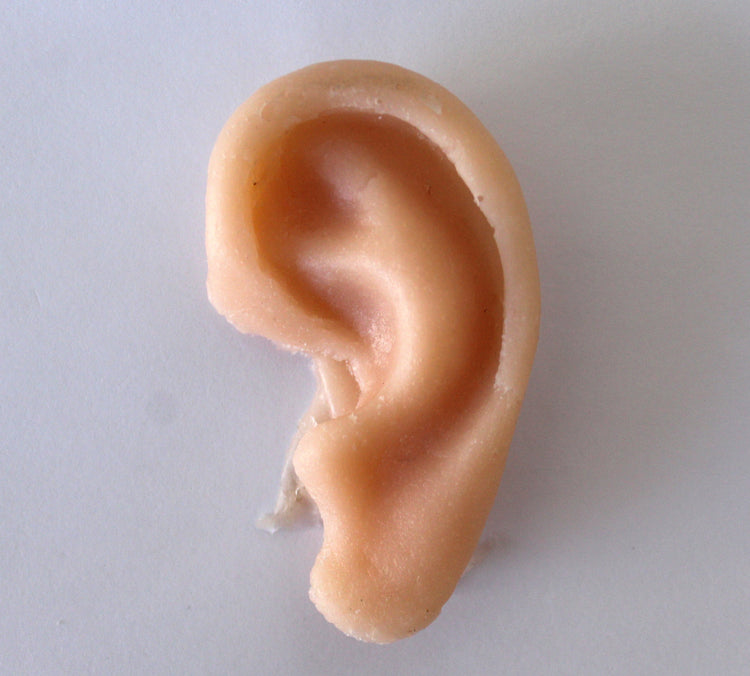 Unpainted Ear Prop