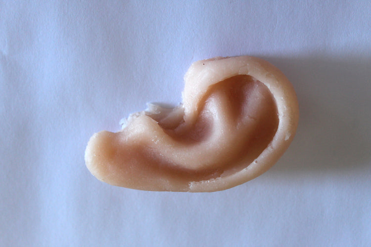 Unpainted Ear Prop