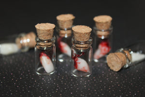 Bloody Tooth Specimen Prop