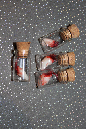 Bloody Tooth Specimen Prop