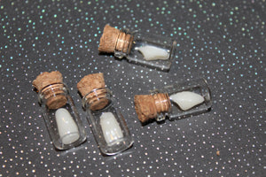 Tooth Specimen Jar Props