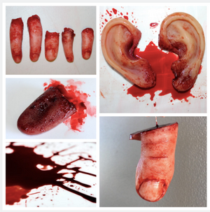 Severed Body Parts Bundle