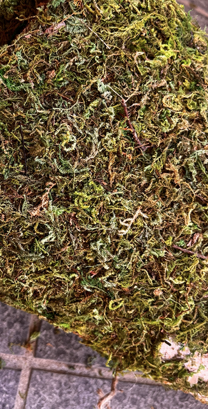 Artificial Moss Bag Prop