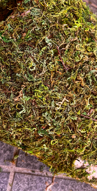 Artificial Moss Bag Prop