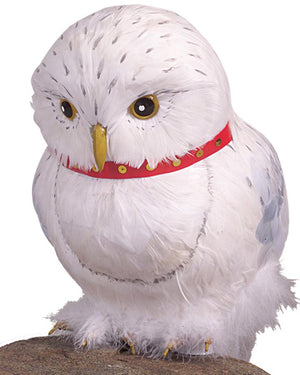 Harry Potter Hedwig The Owl