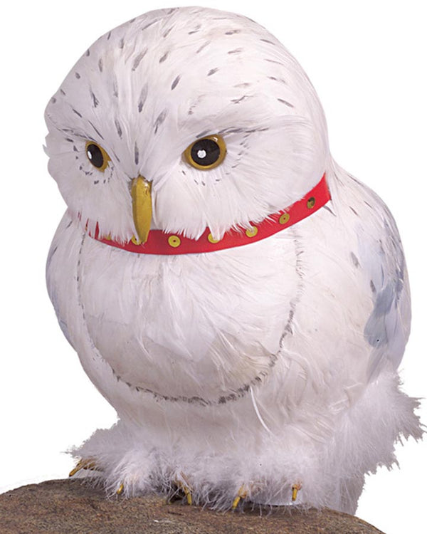 Harry Potter Hedwig The Owl