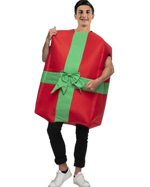 Christmas Present Adult Plus Size Costume