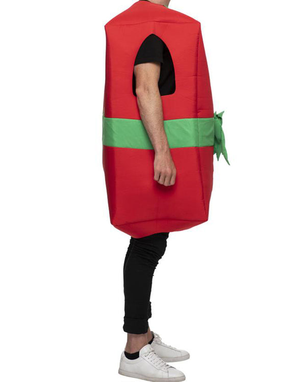 Christmas Present Adult Plus Size Costume