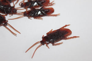 Cockroaches Prop