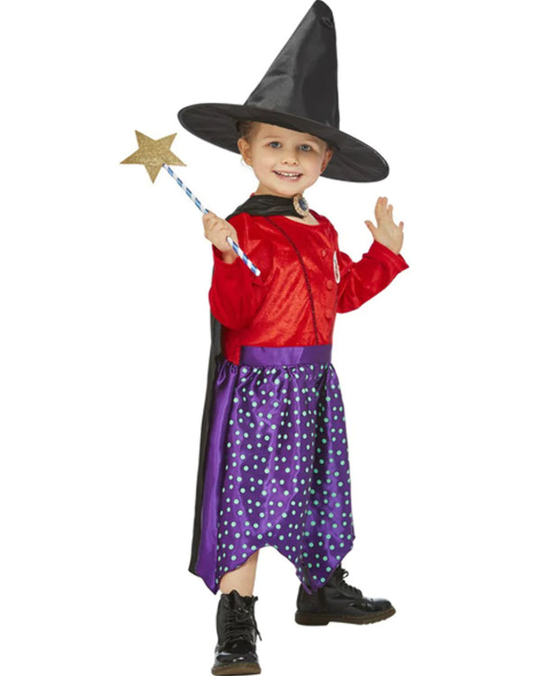 Julia Donaldson Room On The Broom Deluxe Toddler Girls Costume