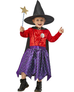 Julia Donaldson Room On The Broom Deluxe Toddler Girls Costume