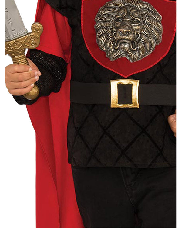 Little Knight Boys Costume