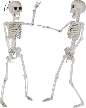 Pose N Stay Skeletons 61cm Pack of 2