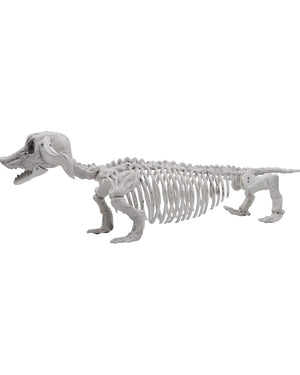 Pose N Stay Wiener Dog Skeleton