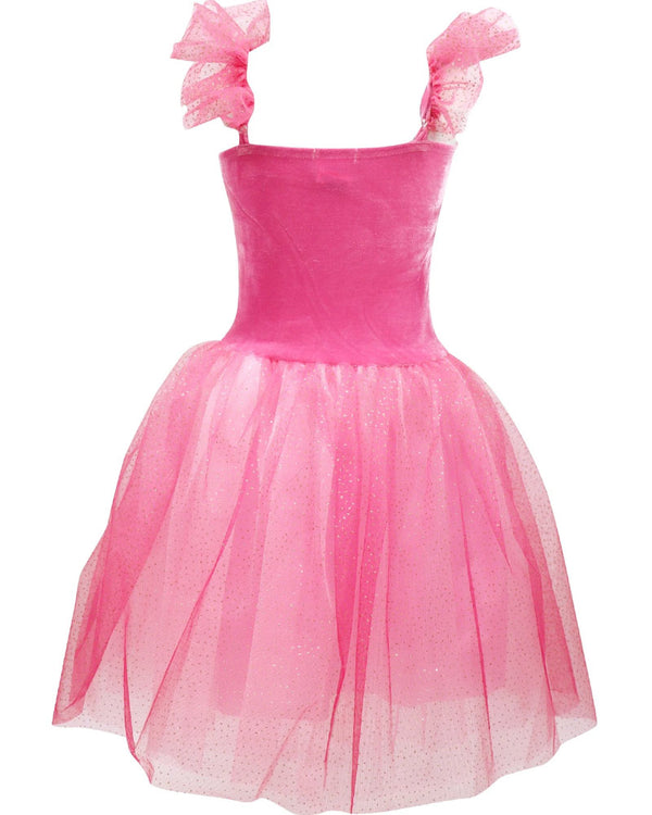 Princess Rose Velvet Dress with Tulle Skirt Girls Costume