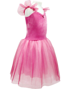 Princess Rose Velvet Dress with Tulle Skirt Girls Costume