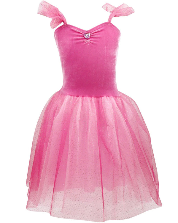 Princess Rose Velvet Dress with Tulle Skirt Girls Costume